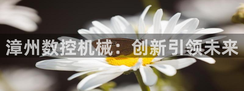 天辰娱乐_675138