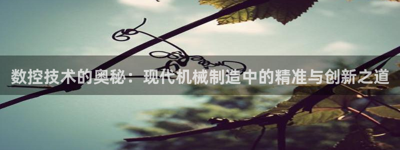 常州天辰娱乐