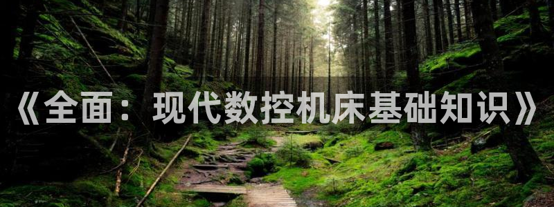 天辰娱乐主管