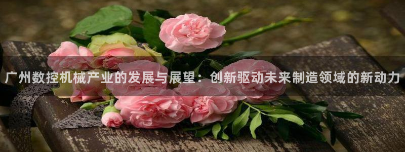 天辰娱乐反水