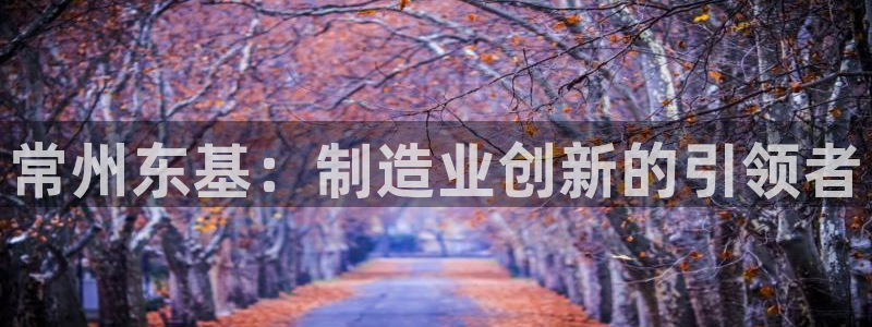 天辰娱乐网址娱乐游戏：常州东基：制造业创新的引领者