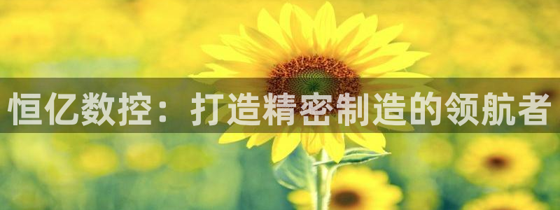 天辰娱乐输了