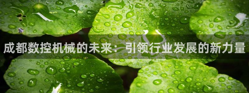 天辰娱乐会员
