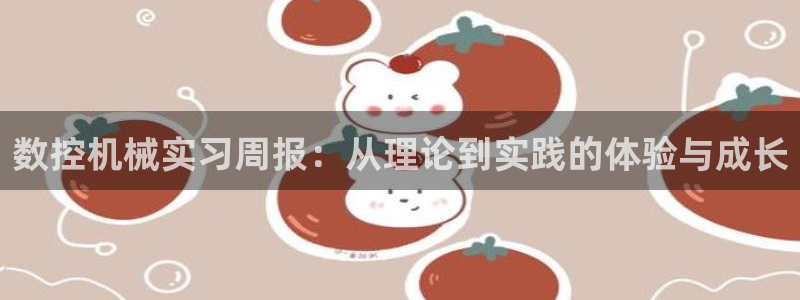 天辰宝娱乐：数控机械实习周报：从理论到实践的体验与成长