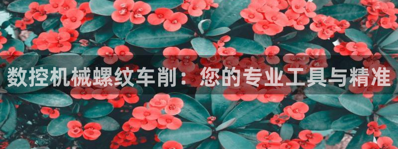 天辰娱乐平台测速