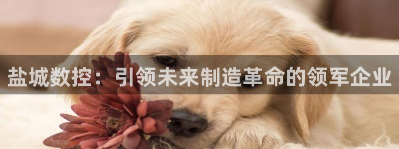 天辰娱乐娱乐平台：盐城数控：引领未来制造革命的领军企业