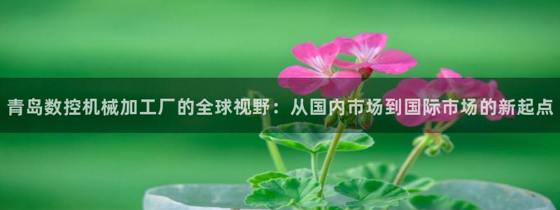 天辰娱乐网