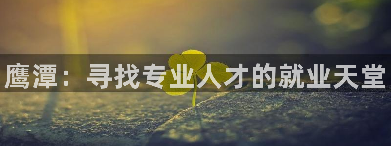 天辰娱乐跑的快:鹰潭:寻找专业人才的就业天堂