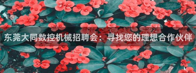 天辰娱乐反水