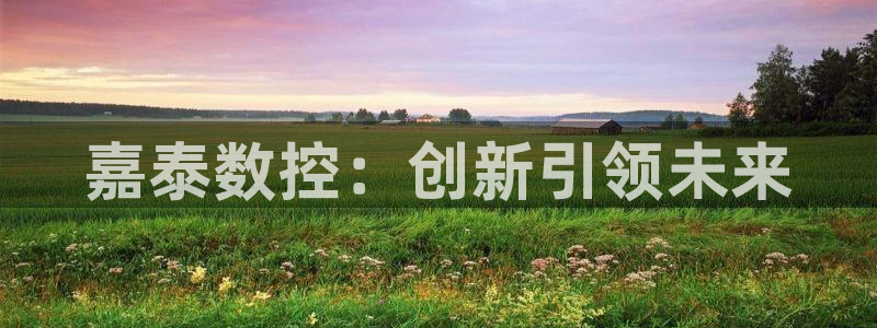 天辰娱乐简介