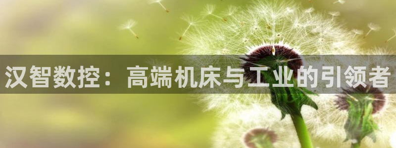 天辰娱乐官方网：汉智数控：高端机床与工业的引领者