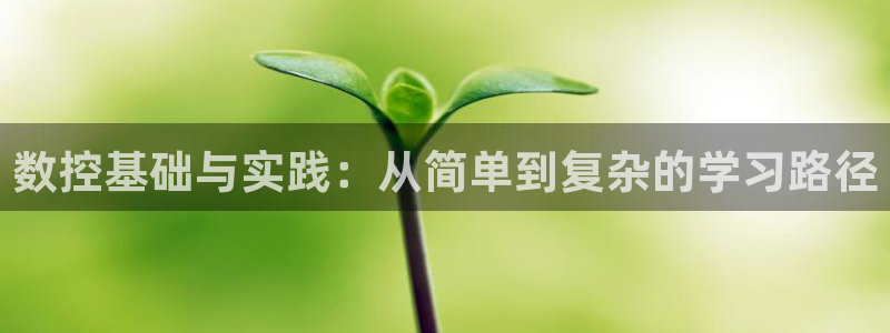 天辰娱乐