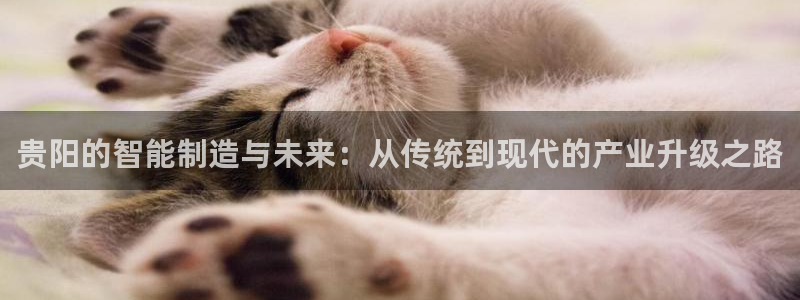 天辰娱乐557696:贵阳的智能制造与未来:从传统到现代的产业升级之路