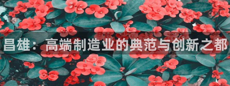 天辰娱乐小姐