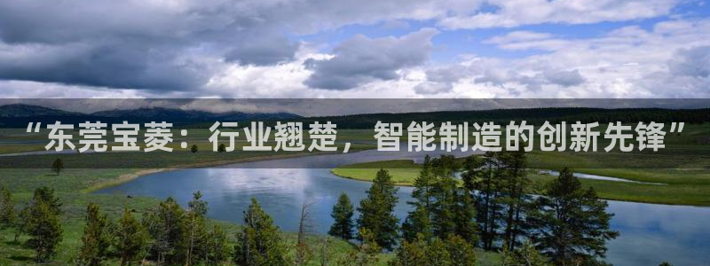 天辰娱乐集团：“东莞宝菱：行业翘楚，智能制造的创新先锋”