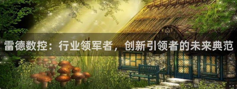 天辰娱乐平台地址