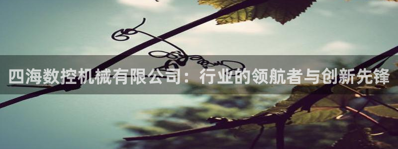 天辰国际娱乐