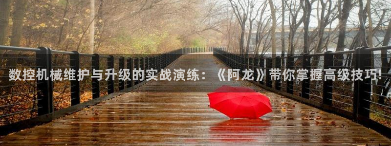 天辰娱乐招商：数控机械维护与升级的实战演练：《阿龙》带你掌握高级技巧!