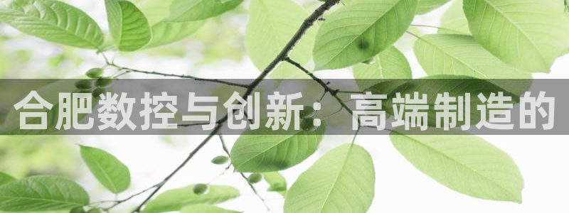 天辰娱乐鱼刺