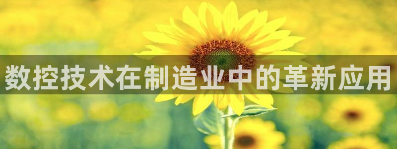 天辰娱乐娱乐