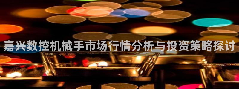 天辰娱乐 44516：嘉兴数控机械手市场行情分析与投资策略探讨