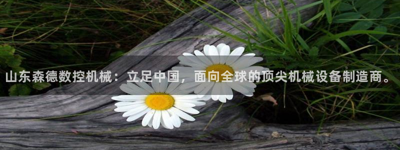 天辰娱乐481928