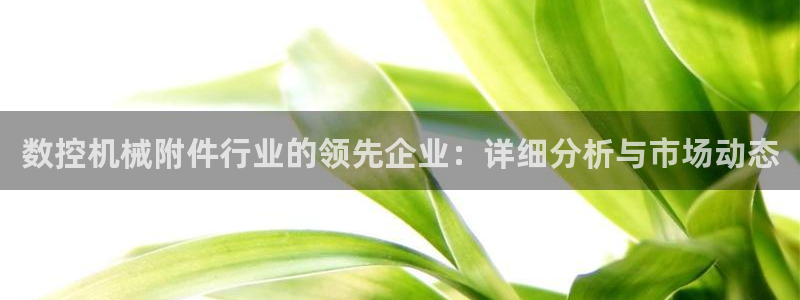 天辰娱乐指定：数控机械附件行业的领先企业：详细分析与市场动态