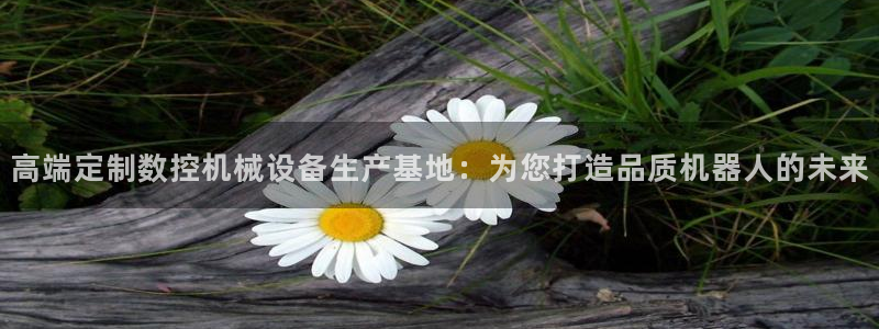 天辰娱乐在哪：高端定制数控机械设备生产基地：为您打造品质机器人的未来