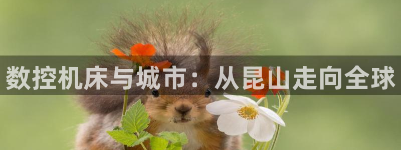 哈尔滨天辰娱乐