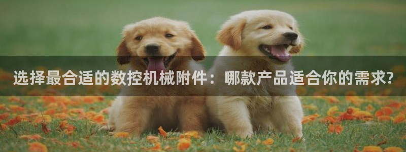 天辰娱乐咋样