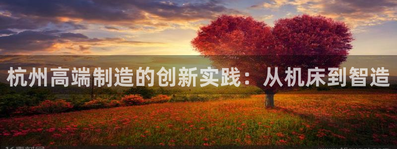 天辰2娱乐：杭州高端制造的创新实践：从机床到智造