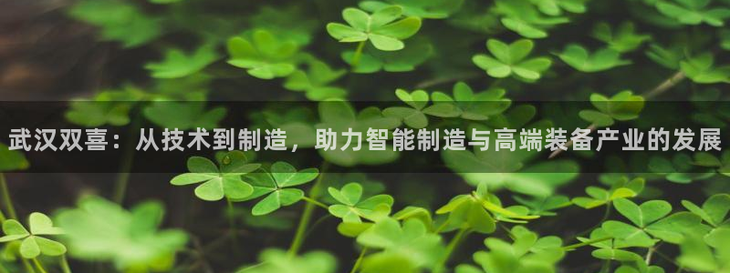 天辰娱乐直属
