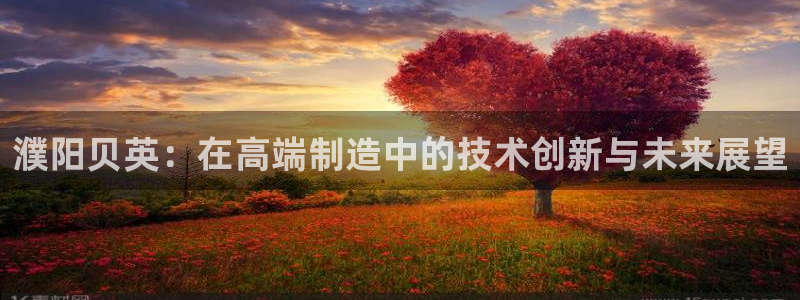天辰娱乐84566：濮阳贝英：在高端制造中的技术创新与未来展望