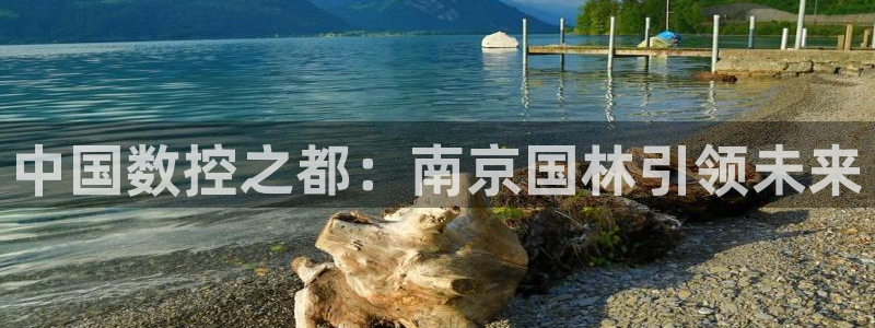 天辰娱乐招商：中国数控之都：南京国林引领未来