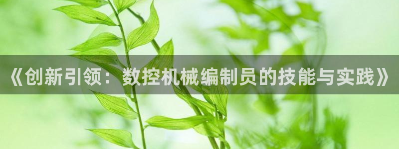 天辰娱乐黑人:《创新引领:数控机械编制员的技能与实践》