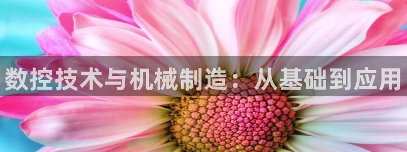 天辰辰娱乐代理