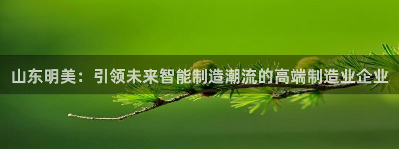 天辰娱乐10086:山东明美:引领未来智能制造潮流的高端制造业企业