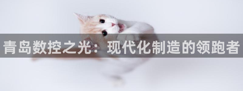 天辰娱乐下载链接