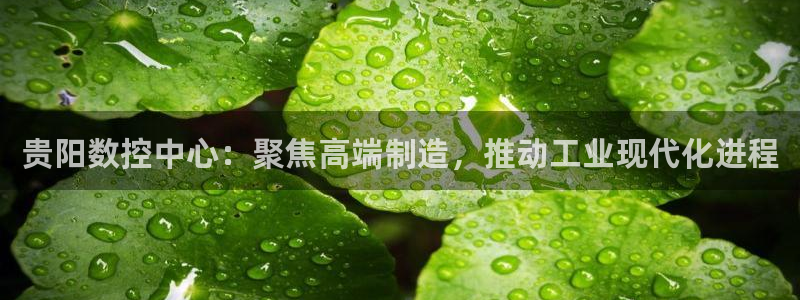 天辰娱乐官方登录入口