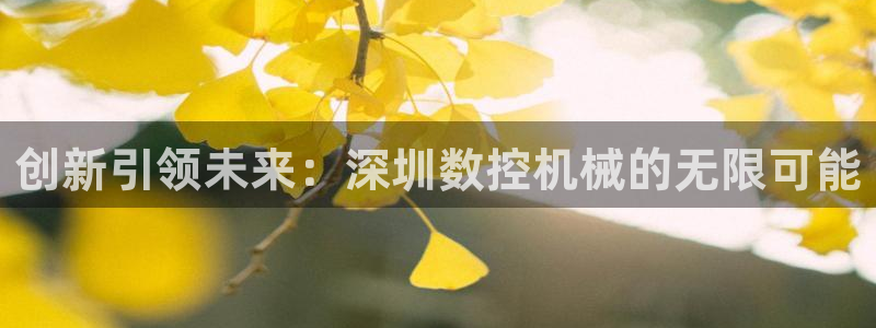 天辰娱乐客服：创新引领未来：深圳数控机械的无限可能