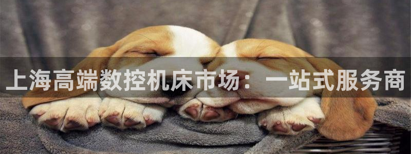 天辰娱乐下载链接：上海高端数控机床市场：一站式服务商