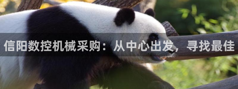 天辰娱乐557448：信阳数控机械采购：从中心出发，寻找最佳