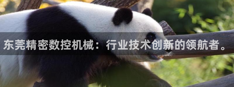 桂林天辰娱乐