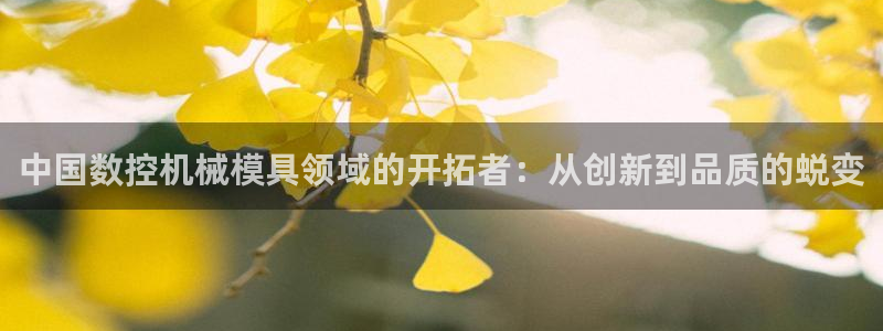天辰娱乐招商