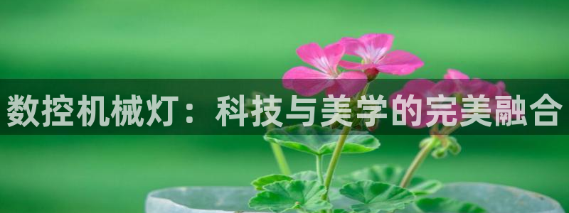 天辰娱乐网