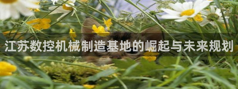天辰娱乐游戏