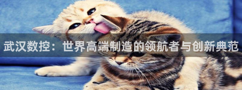 天辰娱乐10086
