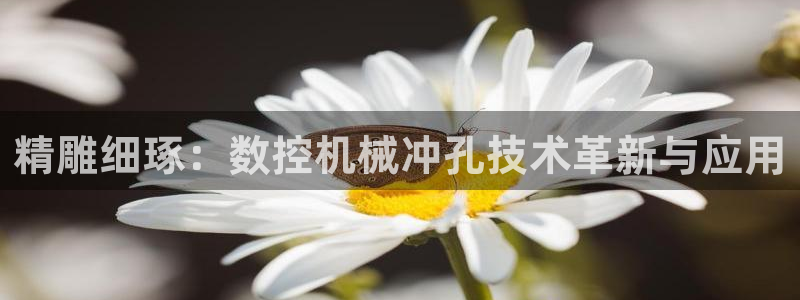 天辰娱乐路线