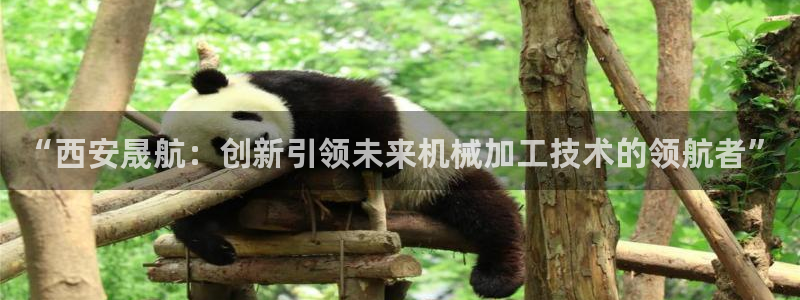 天辰娱乐在线