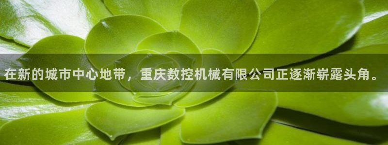 天辰娱乐下载链接